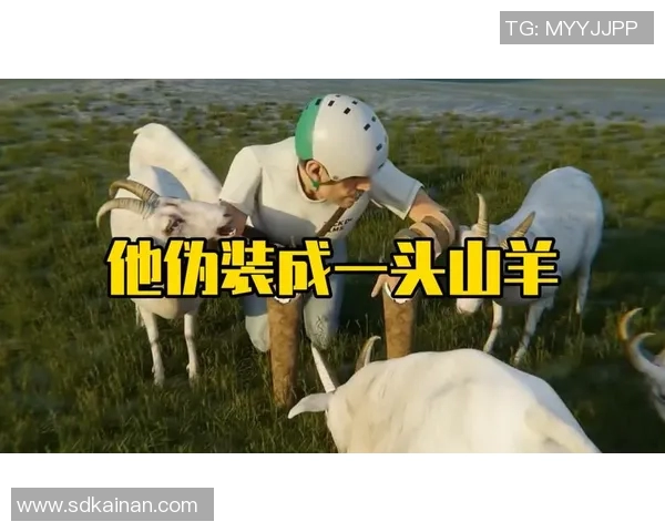 养羊的足球明星究竟是谁他与羊群的故事背后隐藏了什么秘密 养羊的足球明星究竟是谁他与羊群的故事背后隐藏了什么秘密